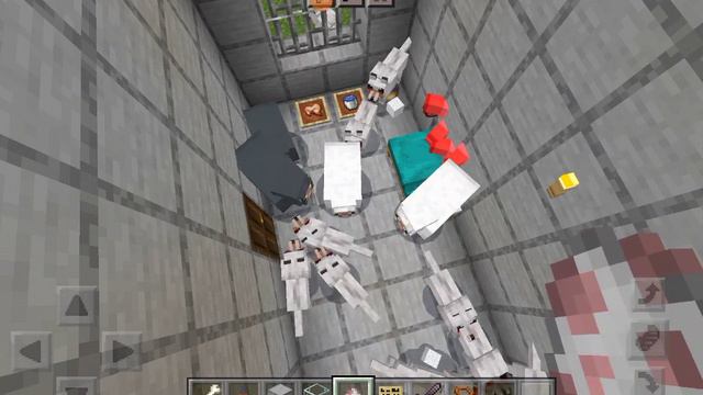 Мой Приют и Зоопарк!!Кто украл животных? смотреть онлайн