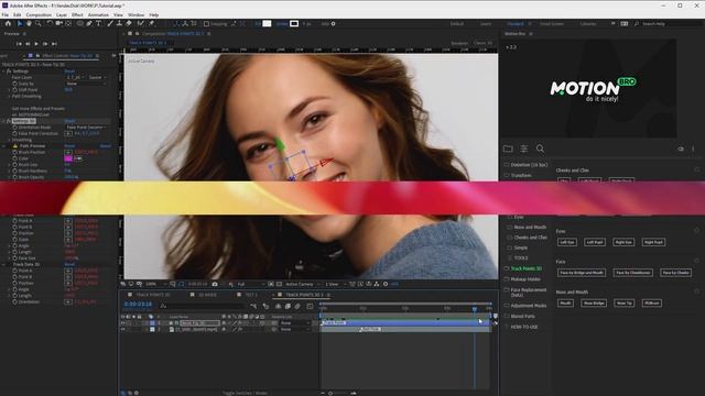 AE Face Tools - How To Use - Review By Videolancer