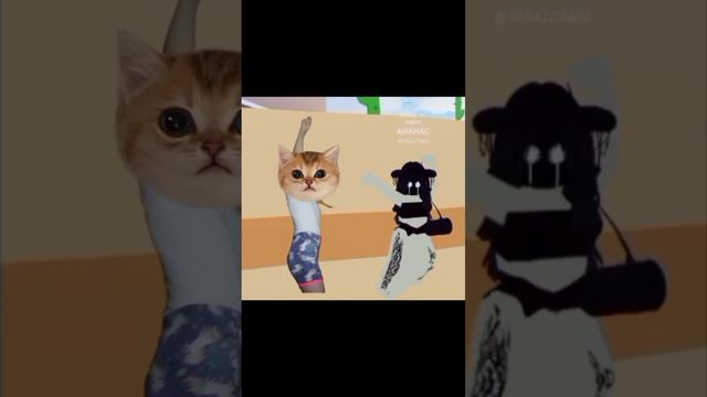 тот самый танец из роблокса../возвращение / НО БЕЗ НАСТИ КОШ ? смотреть онлайн