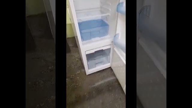 Холодильник бу узкий низкий Beko смотреть онлайн