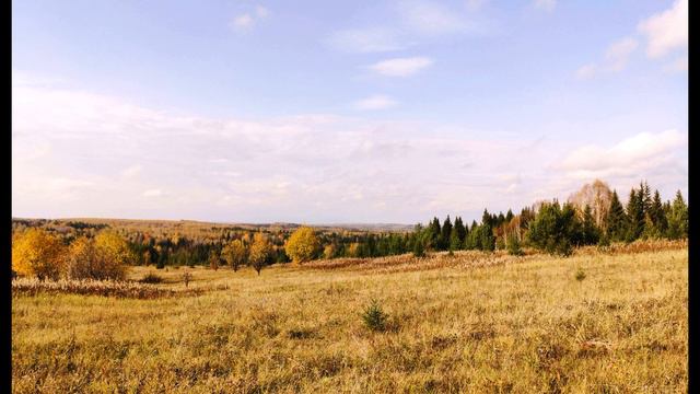 А Пушкин 19 октября #стихиодружбе #поэты19века смотреть онлайн