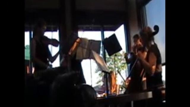 Casella Di Musica Palladio