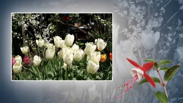 Мне никогда смотреть онлайн