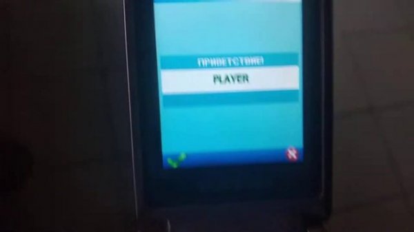 Samsung S3600I Java test.