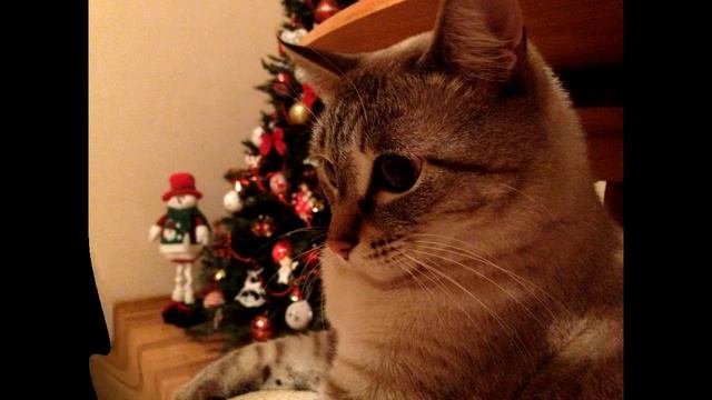 Родственники мои Друзья в Одноклассниках часть 1 смотреть онлайн