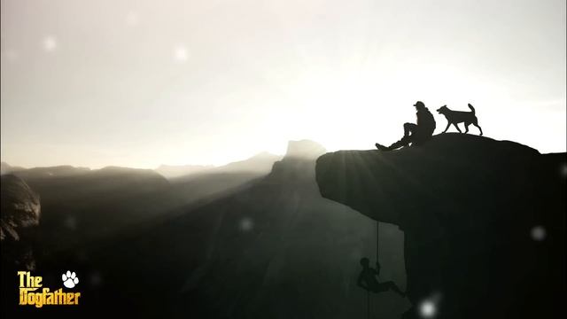 Calming Music For Dogs ~ Soothing Music for Dogs to relax ~ Dog Music to Sleep смотреть онлайн