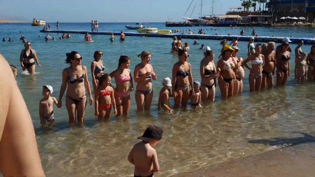 Пляж Tropitel Naama Bay 5* Шарм-эль-Шейх,Египет в ноябре смотреть онлайн