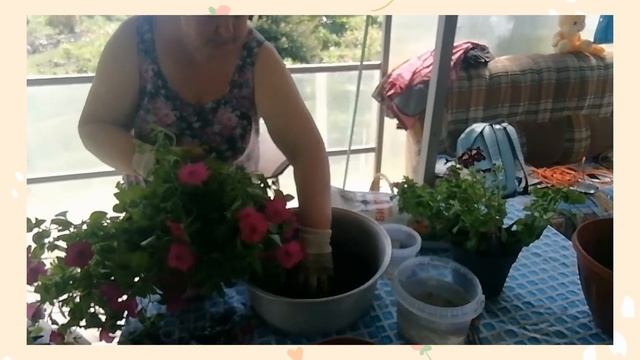 Украшаем веранду. #сад с Любовью#наводим красоту смотреть онлайн