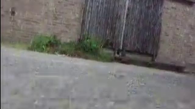 Hpi Mt2 G3.0 On Board Camera #2