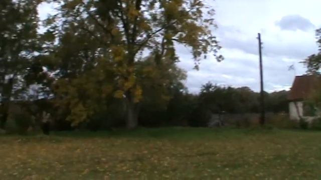 Великий Новгород. Церковь Спаса на Нередице смотреть онлайн