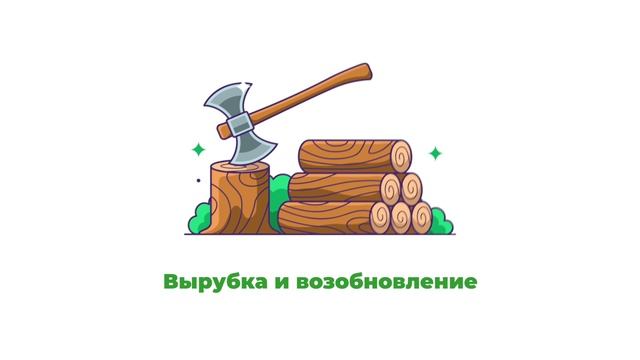 Тизер Всероссийского проекта "Есть дело до лесного дела" смотреть онлайн