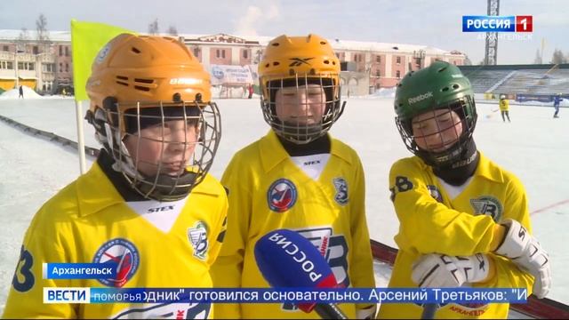 В Архангельске стартовал турнир по хоккею с мячом среди юных спортсменов смотреть онлайн