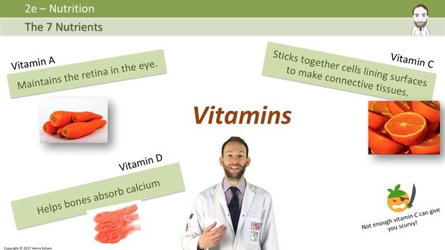 Nutrition and Diet - GCSE Biology (9-1) смотреть онлайн