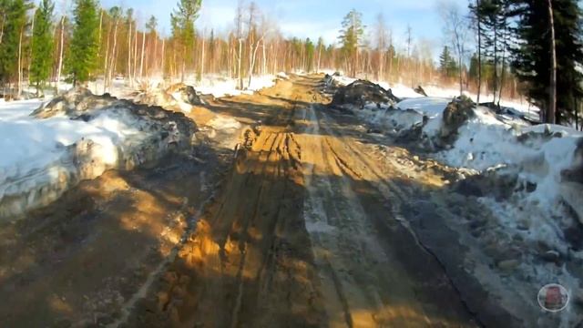 Повстречался с МЕДВЕДЕМ, еще и буксую в ГОРЕ смотреть онлайн