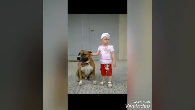 Амстаффы и дети. Ценный Приз. Tcenniy Prize Amstaff & Kids.