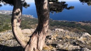 Шаан-Кая, Еврейская тропа 07.11.2023  ? Походы по Крыму