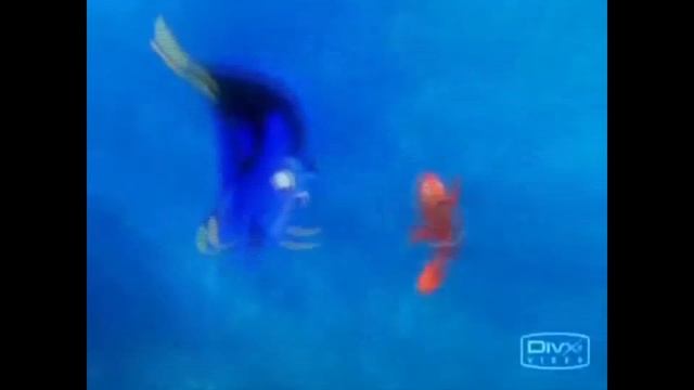 Nemo Beyond the Sea Repeat for 1 hour смотреть онлайн