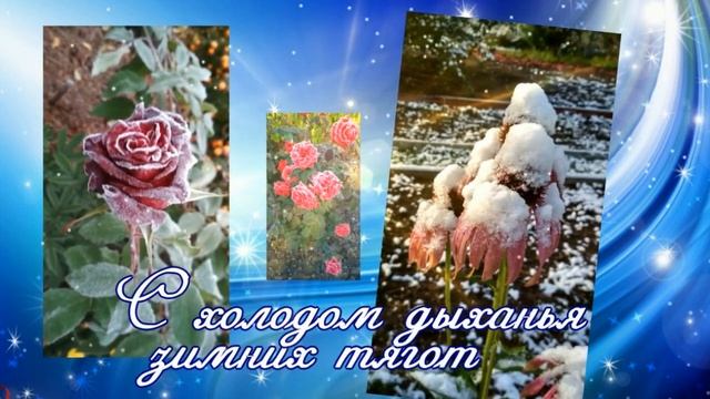 Я на счастье подарю вам осень смотреть онлайн
