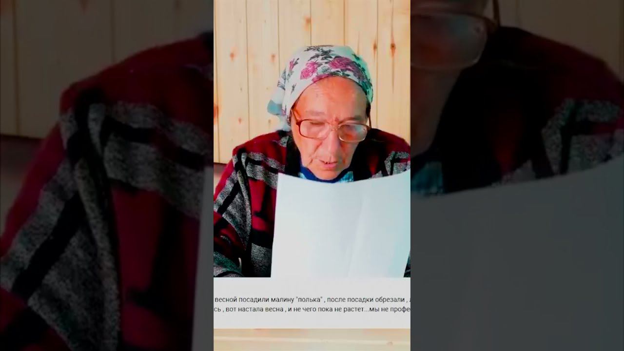 пасадили малину и ничего не растет смотреть онлайн