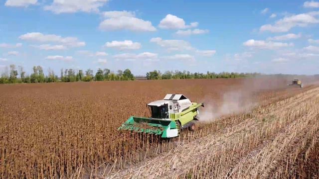 Уборка подсолнуха 2021! Комбайн Newholland и Class! смотреть онлайн