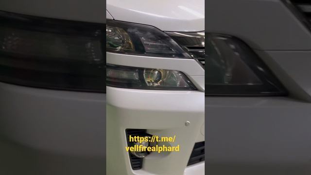 Toyota Alphard и Toyota Vellfire в наличии ЭПТС РФ. #toyota #alphard #vellfire #автоизевропы смотреть онлайн