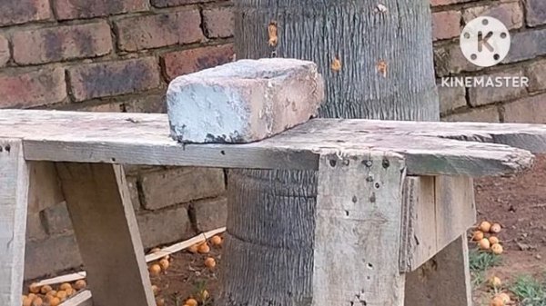 BUDGET BUSTER - Artemis CP2 Review - Eventually