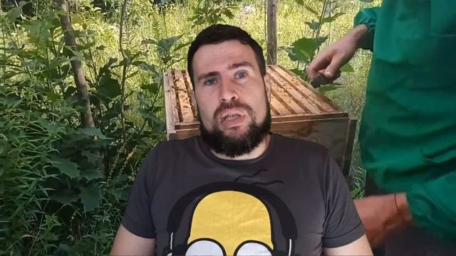 Карника.СARNIСA. порода пчел Опыт работы. Насколько она хороша? Как выбрать линию для себя смотреть онлайн