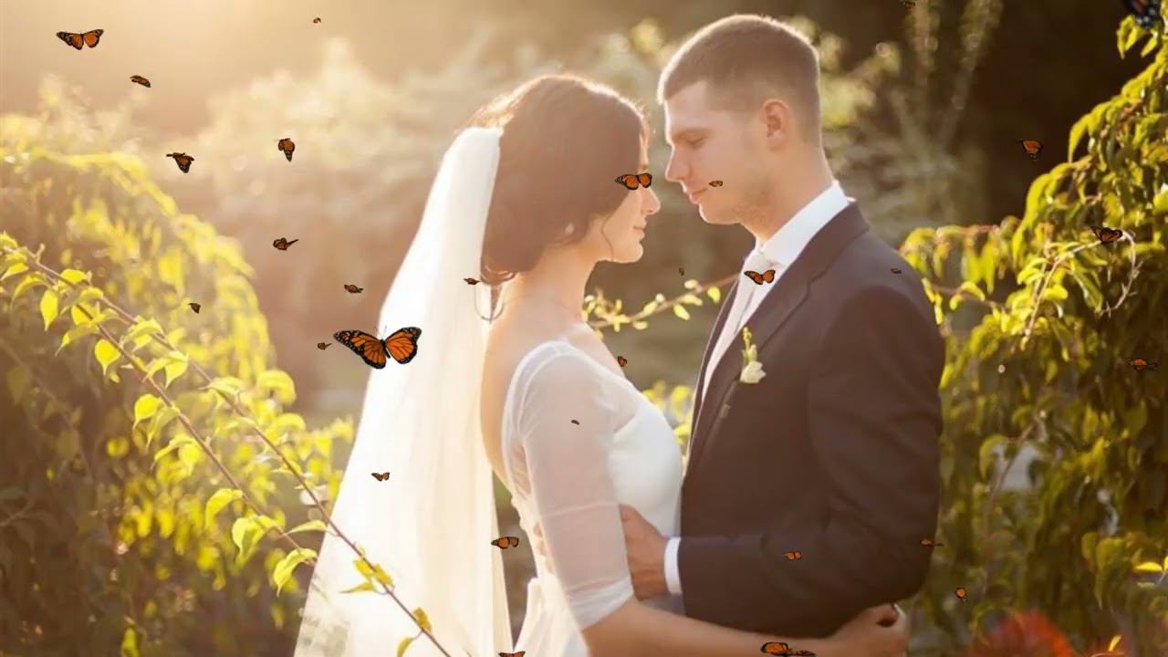 Буду тобою забыта!!!Татьяна Козловская!!!Тамара Каптюхова!!! смотреть онлайн