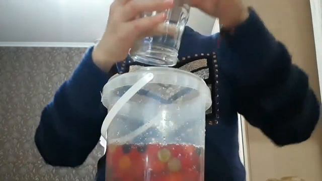 |Что будет если орбизы в банке с водой не открывать 1,5 года| смотреть онлайн