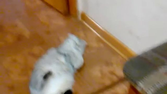Моя кися спит смотреть онлайн