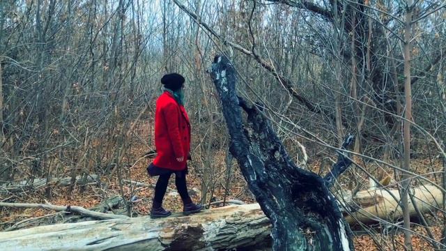 Астрахань в Ноябре на городском острове смотреть онлайн