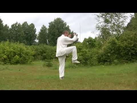 1.Чень ши тайцзицюань - Первый комплекс 83 формы вид спереди смотреть онлайн