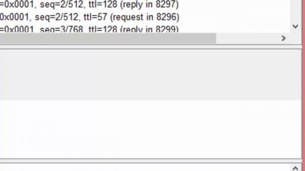 Navigating with Wireshark and ICMP, DNS, ping