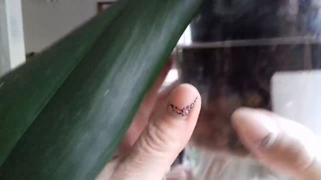 Успешная реанимация, или все кто выжил 😷😉😄 смотреть онлайн