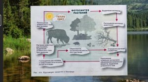 География 6 класс( Алексеев) аудио Параграф 47 « Биосфера - сфера жизни»