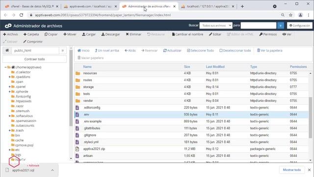 Cómo Subir Laravel A Un Hosting Compartido.
