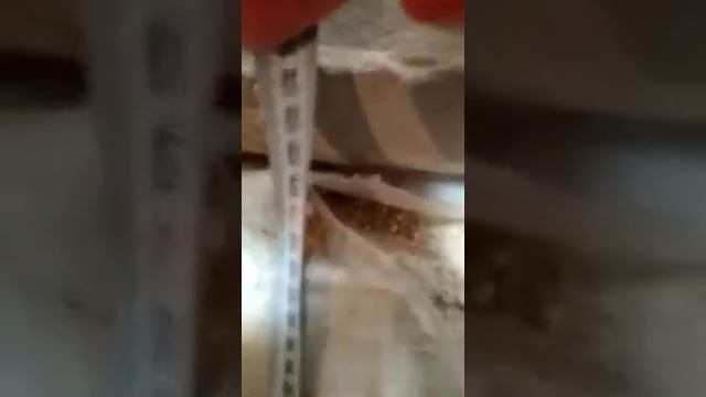 Вода в подвале  04