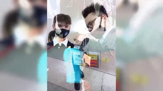 день без сумок смотреть онлайн