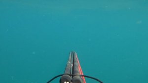 #КРЫМ #Подводная охота в Чёрном море Кефаль и Пиламида в сентябрь 2018