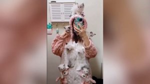 ПРИКОЛЫ С КОШКАМИ №471 Смешные Коты И Котята! Самые Милые И Прикольные!.mp4