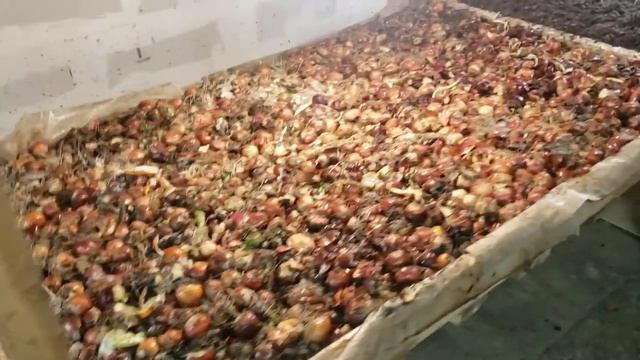 Черви для рыбалки как дополнительный заработок смотреть онлайн