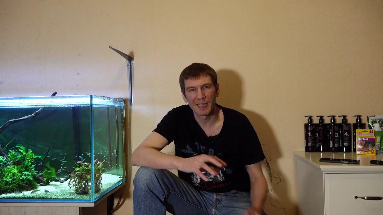 #Вабикуса как элемент дизайна смотреть онлайн