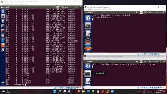 Seedlabs TCP attacks Task-1 смотреть онлайн