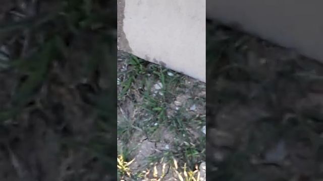 Т25 смотреть онлайн