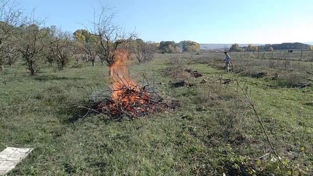 Раскорчевка старого яблоневого сада смотреть онлайн