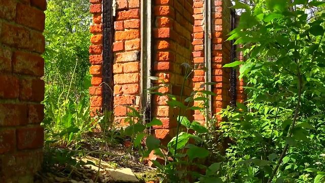 Усадьба Кузьминское. Флигели. смотреть онлайн