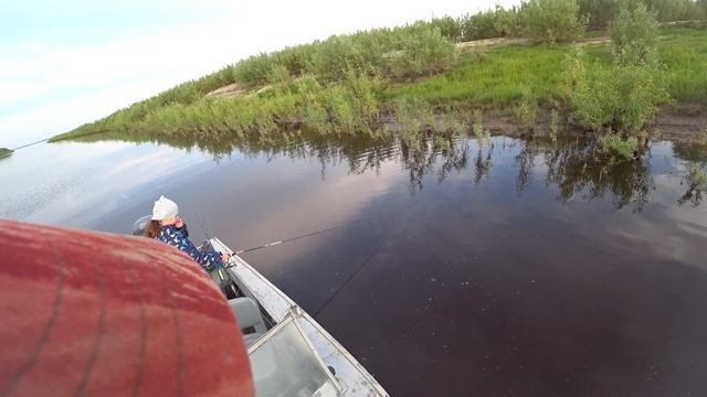РЫБАЛКА НА СЕВЕРЕ. ОГРОМНЫЕ ОКУНЯ НА СПИННИНГ. смотреть онлайн
