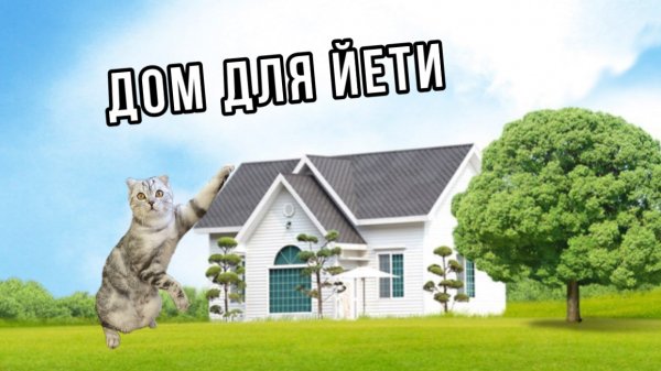 Дом для Йети