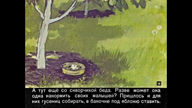 Георгия Скребицкого - Чир Чирыч смотреть онлайн