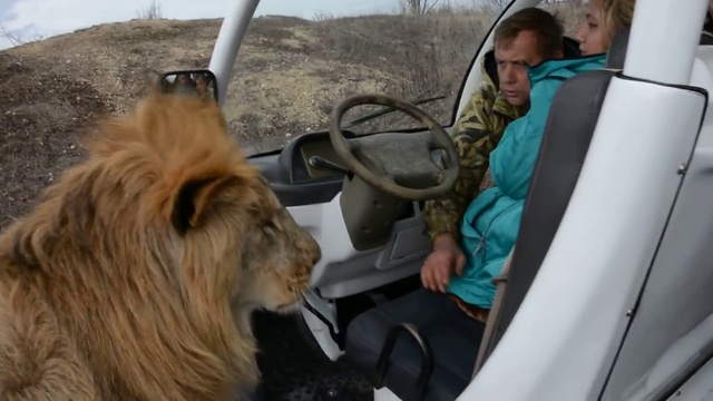 Чук и Гек встречают гостей смотреть онлайн